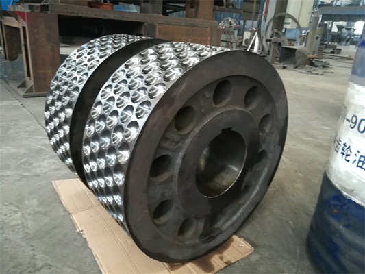 Fornitura di 1-30 t/h di segmenti di rotolamento per macchine di briquette e di calzature per cuscinetti per rotolatori a caldo freddo