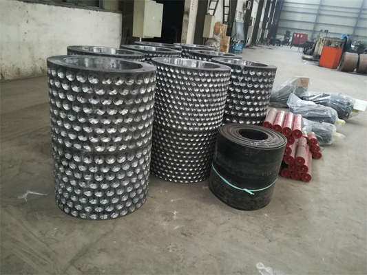 Fornitura di 1-30 t/h di segmenti di rotolamento per macchine di briquette e di calzature per cuscinetti per rotolatori a caldo freddo