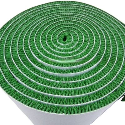 PE PVC Plastic Coil Gold Laundry Grass con elevata rigidità e spessore 11-20 mm